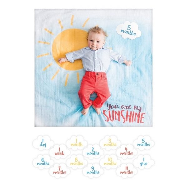 Lulujo vystyklas su mėnesių kortelėmis "You Are My Sunshine"